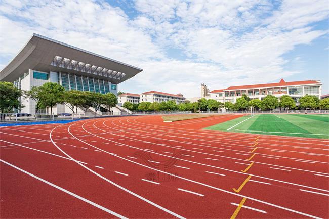 全塑型自结纹跑道：耐用、环保、经济的完美融合